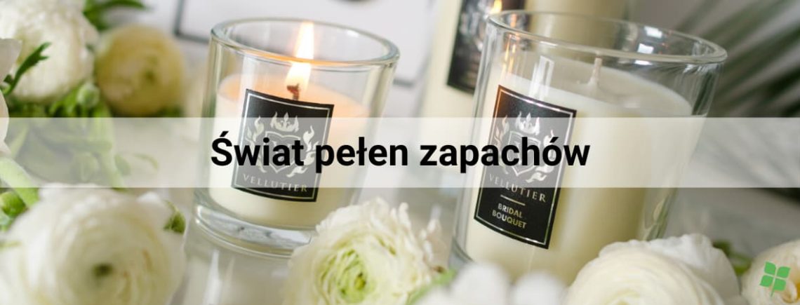 Świece - Świat pełen zapachów