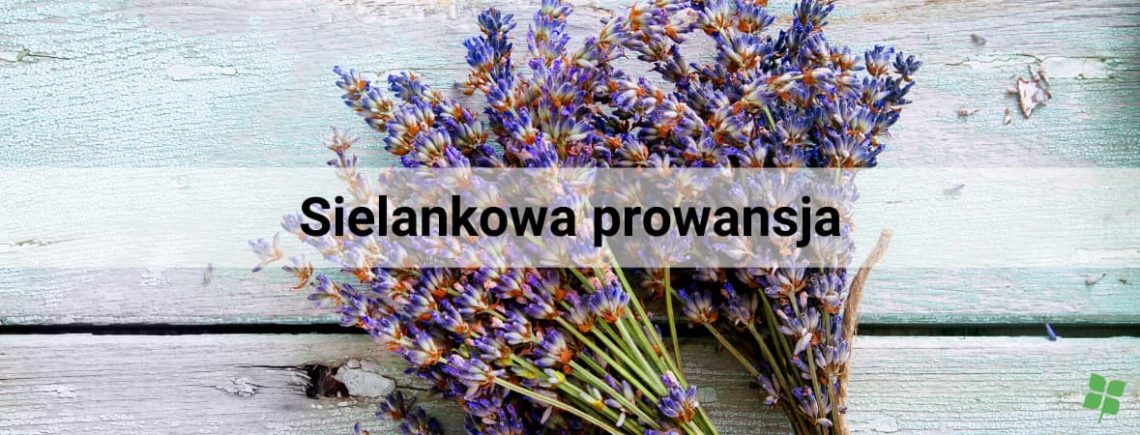 styl prowansalski
