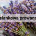 styl prowansalski