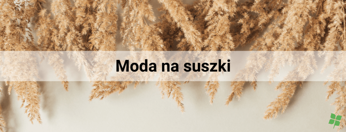 suszone trawy