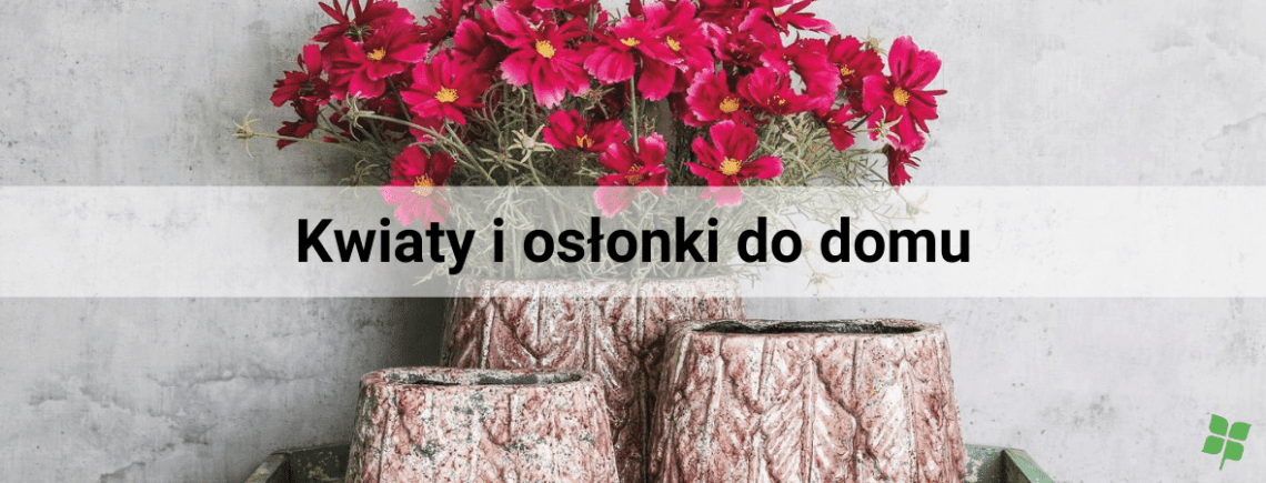 kwiaty i osłonki zielona fabryka