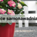 donice samonawadniające