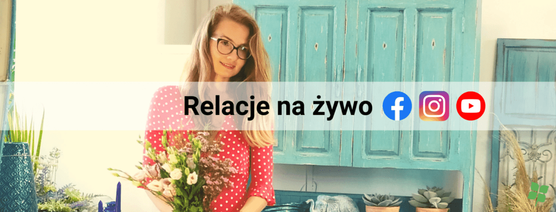 relacje na żywo zielona fabryka